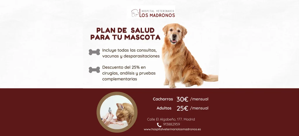 Hospital Veterinario Los Madroños